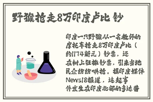 5g影讯天天5g罗志祥网址解析